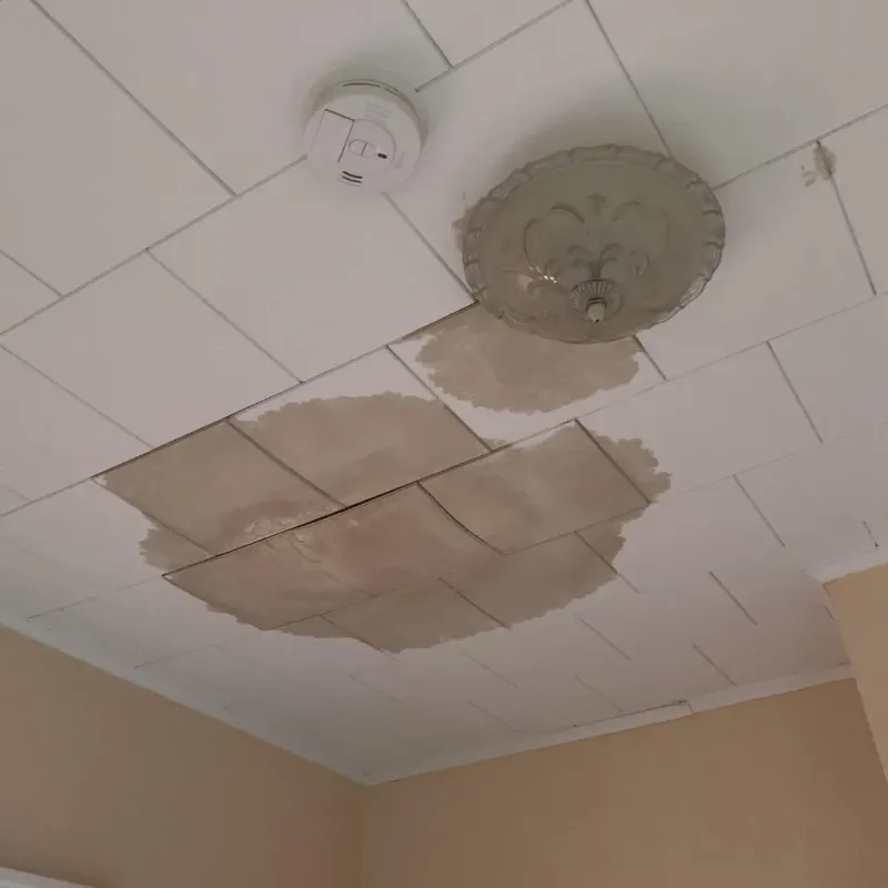 Ceiling Water Damage Repair in Warren County, IA