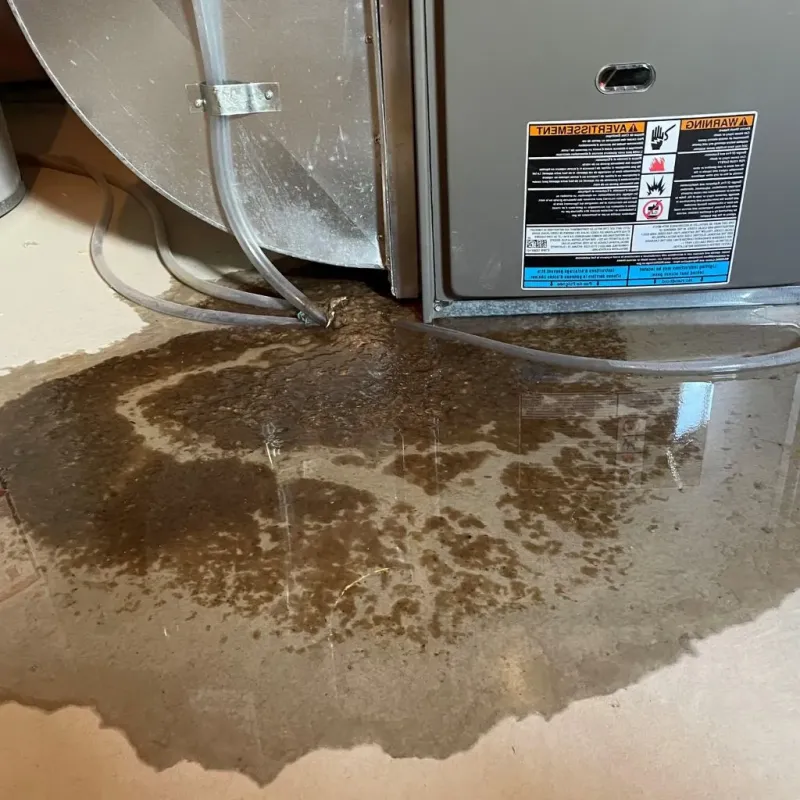 Pipe Burst and Leak Restoration in Warren County, IA