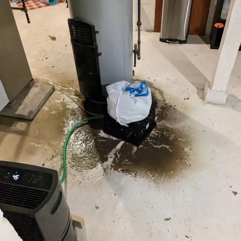 Sewage Backup Cleanup Service in Warren County, IA